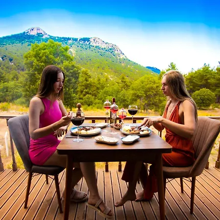 Chalet Bry House